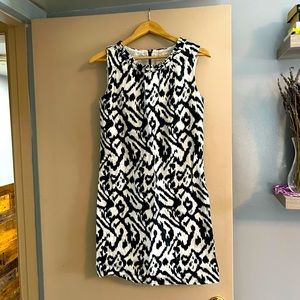 Loft shift dress